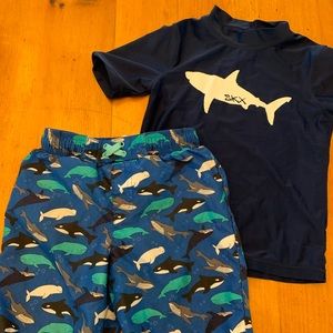 Boys size 7 bathing suit